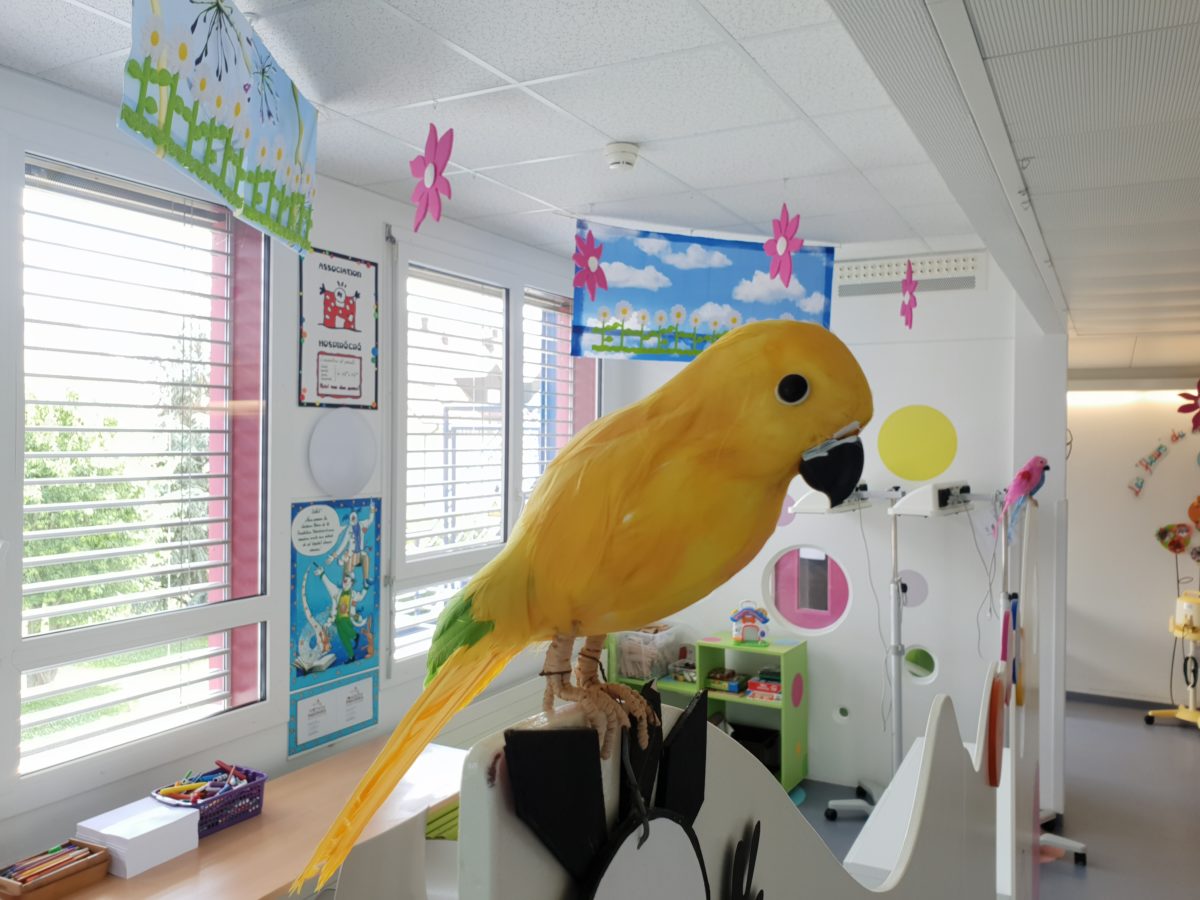 C’est l’été à la pédiatrie