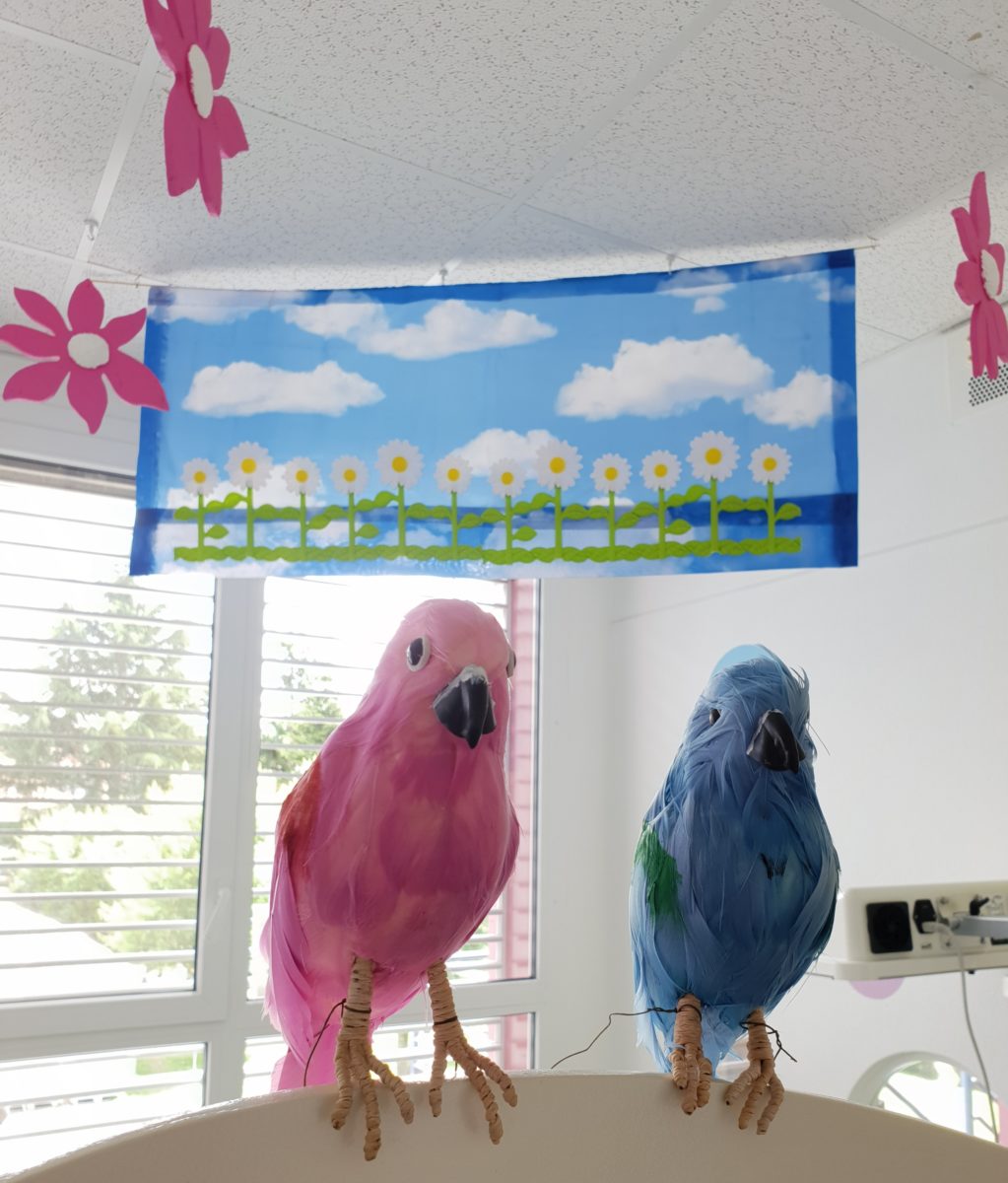 C’est l’été à la pédiatrie