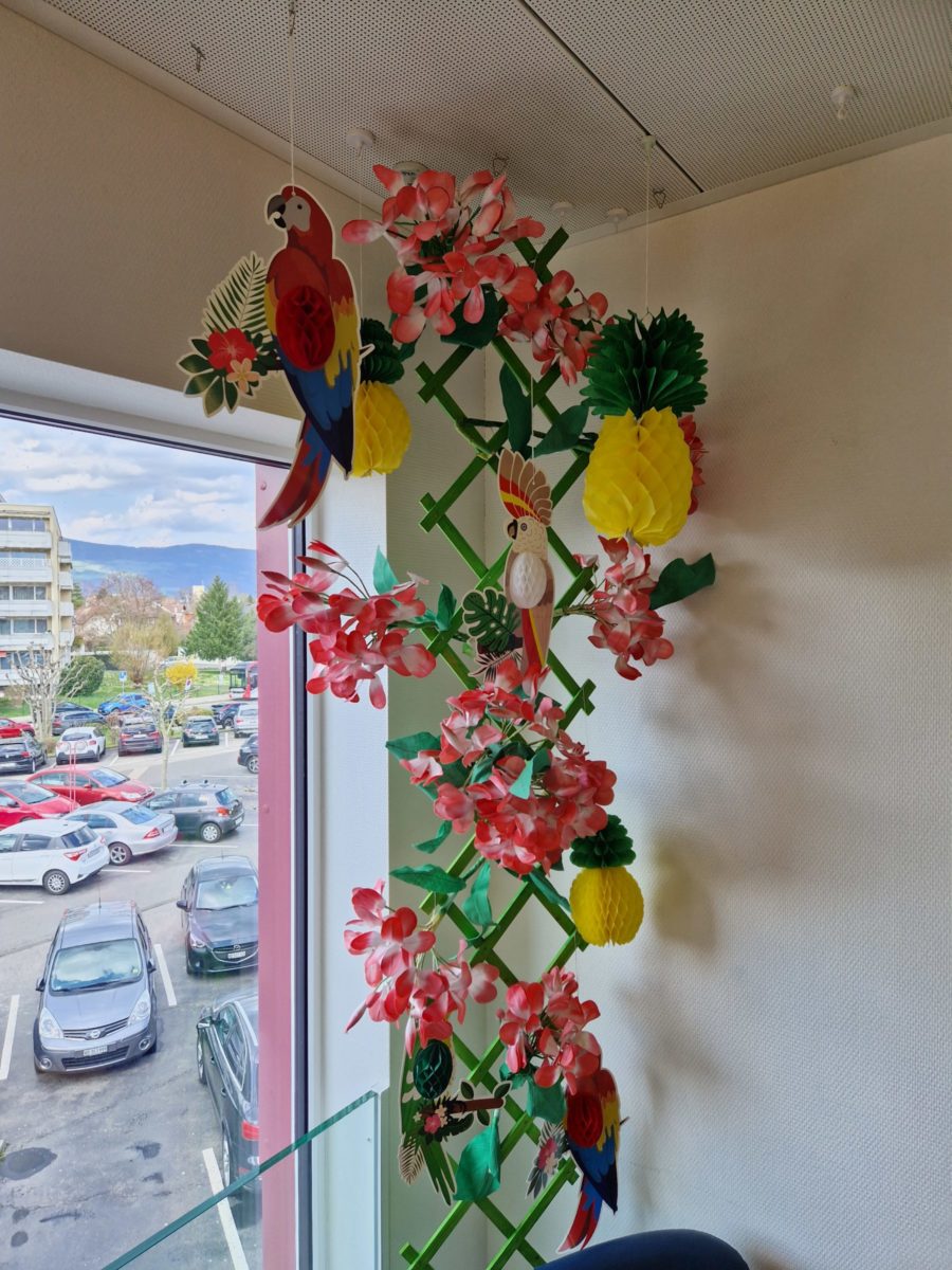 C’est le printemps !