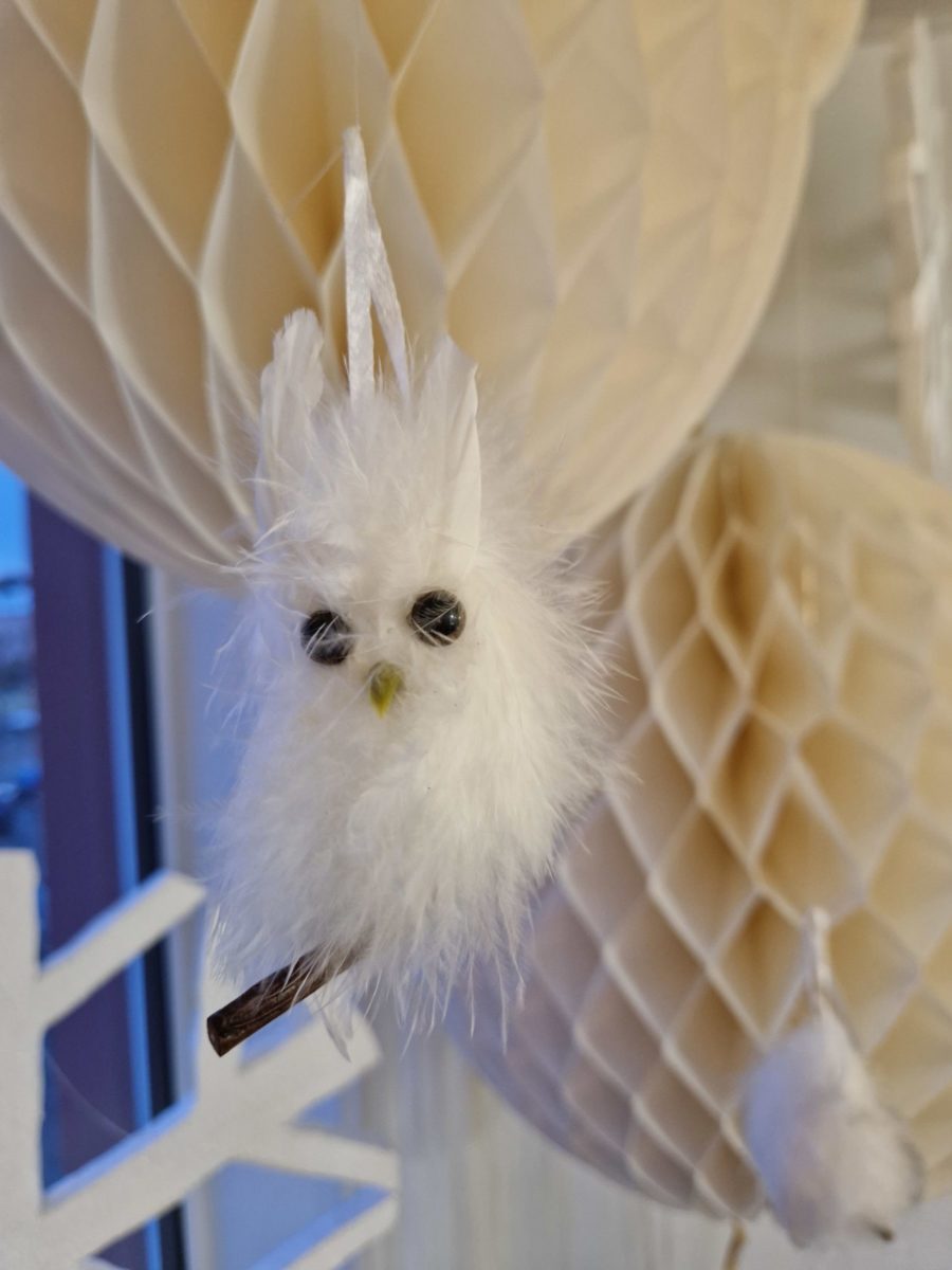 C’est l’hiver !