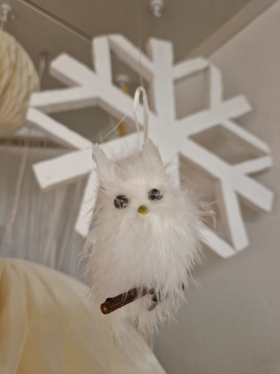 C’est l’hiver !