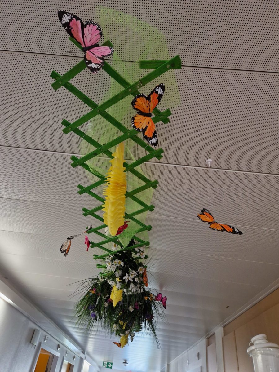 Vive les beaux jours !